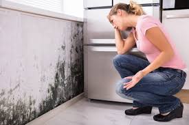 Best Residential Mold Inspection & Testing  in Appleton, WI